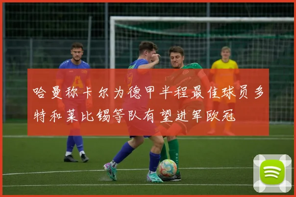 哈曼称卡尔为德甲半程最佳球员多特和莱比锡等队有望进军欧冠